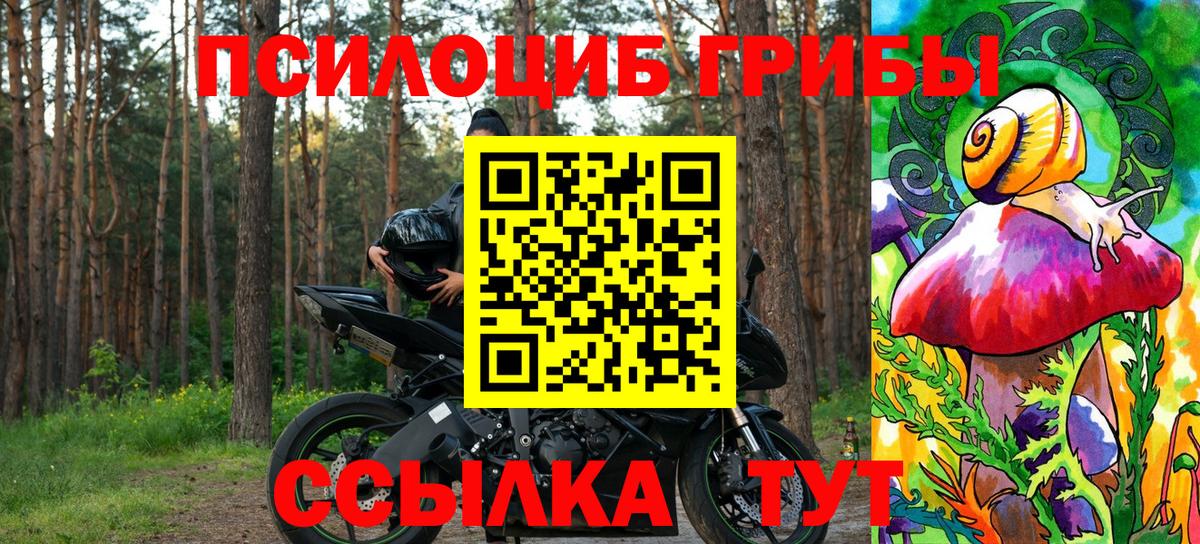 Галлюциногенные грибы MAGIC MUSHROOMS  Вход с VPN  Алексеевка 