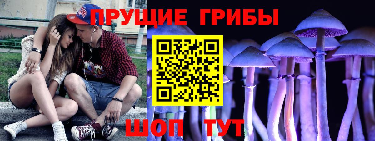 Галлюциногенные грибы MAGIC MUSHROOMS Алексеевка