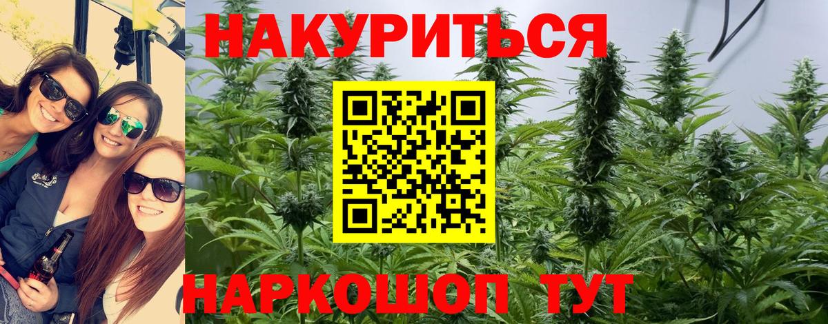 Шишки марихуана Amnesia Алексеевка